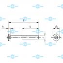 14584-T-100-P(TG)-Model